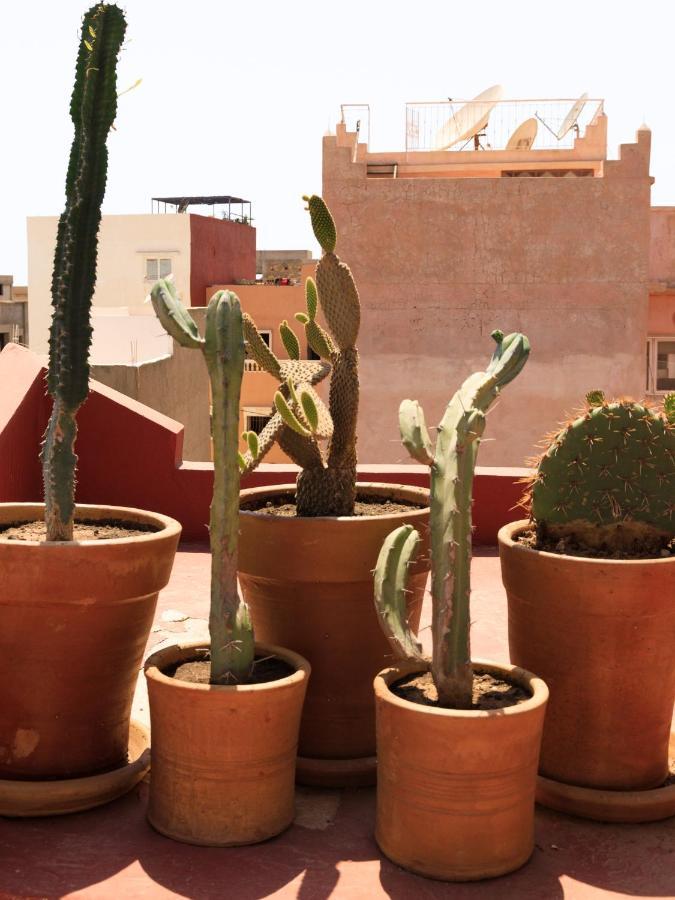 بيت شباب Kasbari House تغازوت المظهر الخارجي الصورة